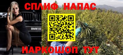 МДПВ Донецк