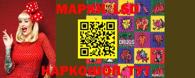 МДПВ Донецк
