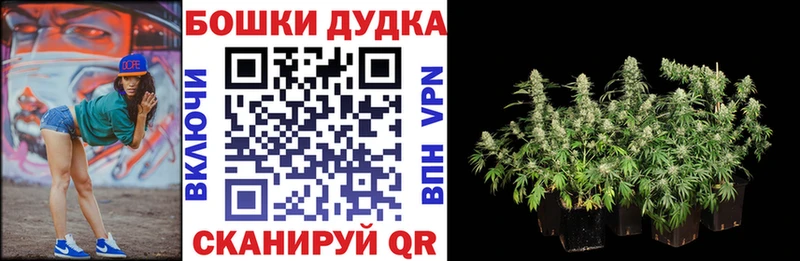 Канабис гибрид  Рыбинск 